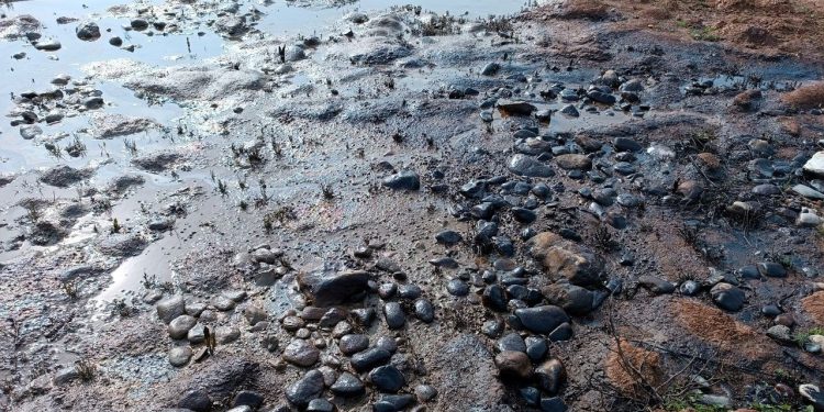 Petrol boru hattındaki sızıntının ardından içme suyu uyarısı