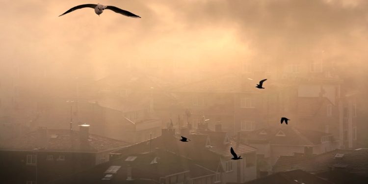 Türkiye’nin en kirli havaya sahip illeri belli oldu