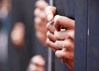 Afrika’da silahlı örgütlerin sayısı son 10 yılda artış gösterdi