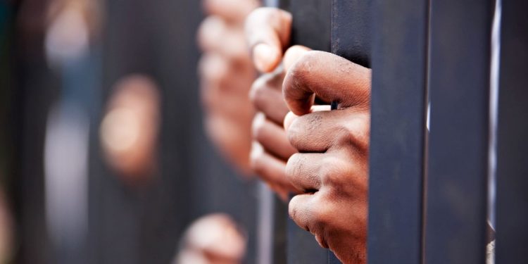 Afrika’da silahlı örgütlerin sayısı son 10 yılda artış gösterdi