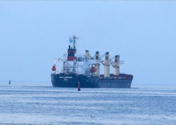 Ukrayna: Erdoğan, Karadeniz Tahıl Koridoru Anlaşması’nın yeniden başlamasını sağlayabilir
