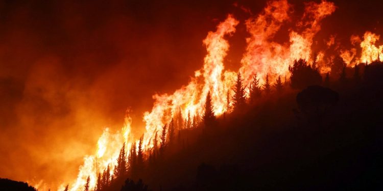 İtalya’da orman yangını: 2 kişi öldü