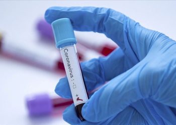 Yeni corona virüs araştırması: Organlarda kalıcı hasar bırakıyor