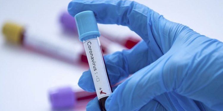 Yeni corona virüs araştırması: Organlarda kalıcı hasar bırakıyor