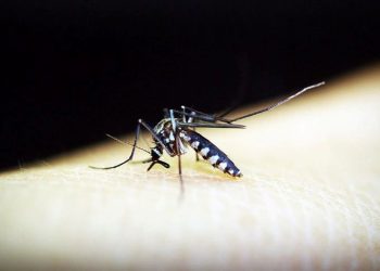 DSÖ’den ikinci sıtma aşısı önerisi