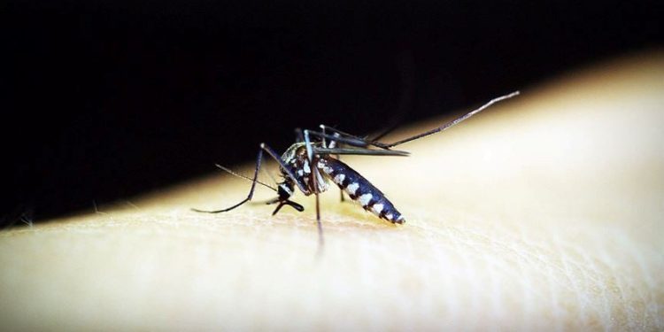 DSÖ’den ikinci sıtma aşısı önerisi