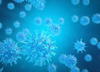 DSÖ’den ilk onay Mısır’a: Hepatit C’yi ortadan kaldırma hedefi