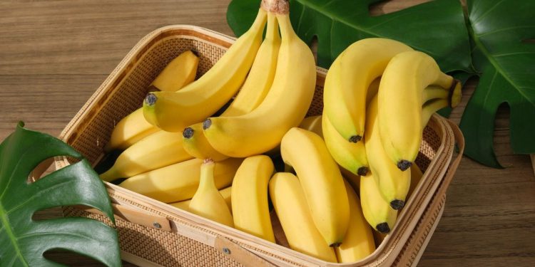 İngiltere, AB’nin alay konusu olan ‘bükülgen muz’ kuralını kaldırıyor