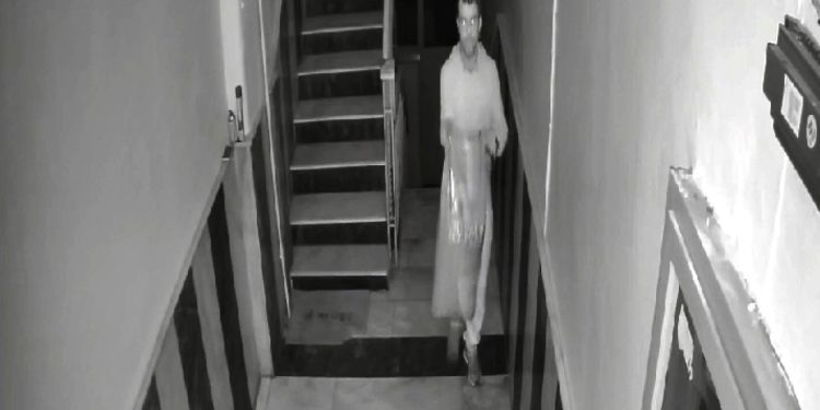 Sokak kedileri için alınan mamayı çaldı